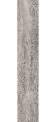 Birch