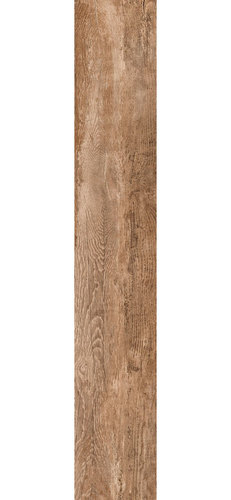 Oak